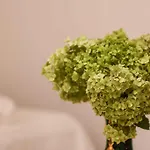 茉莉公寓 4*